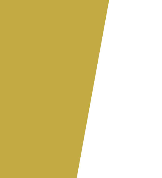 section-ceo